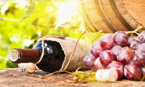 決定葡萄酒品質的是葡萄酒原料